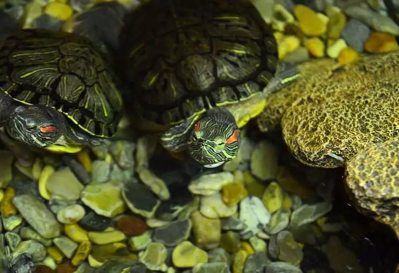 Fotos del hotel Seasons Spa Boutique:  8