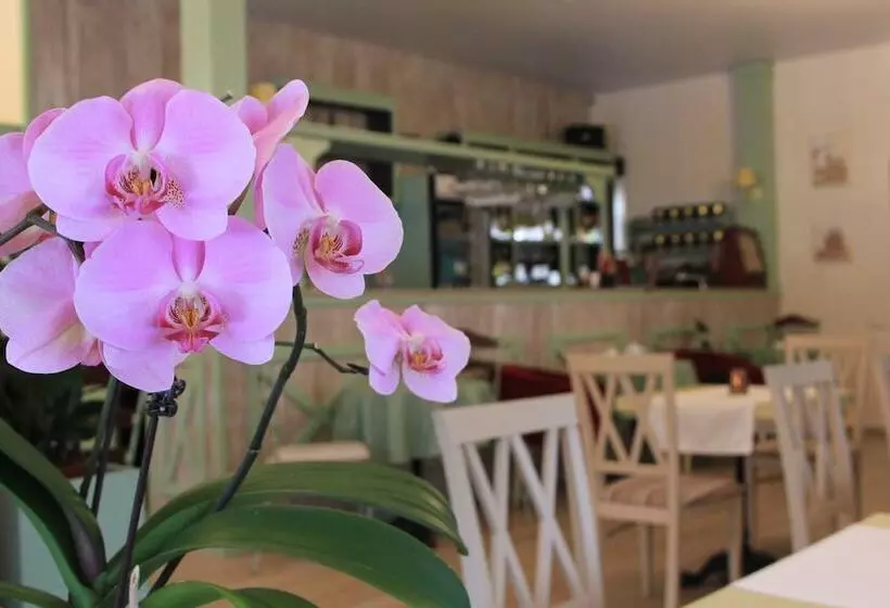 Fotos del hotel Seasons Spa Boutique:  14