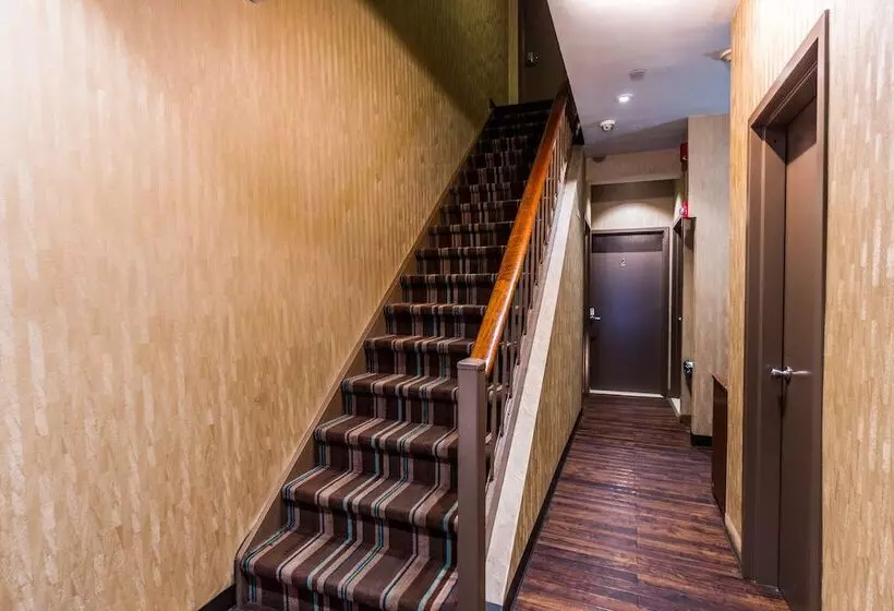 Fotos del hotel Five44:  10