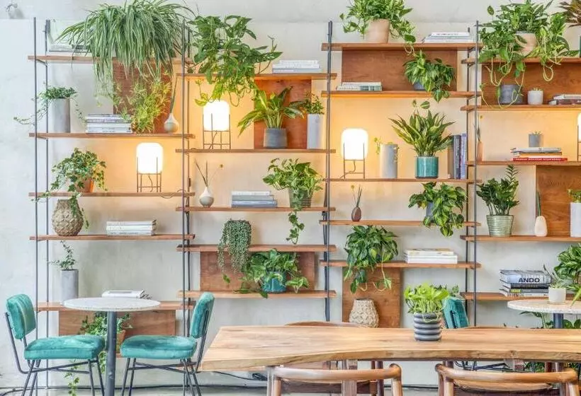 Fotos del hotel Selina Chelsea:  8