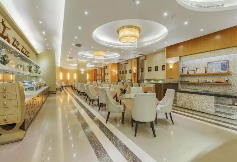 Fotos del hotel Oscar:  22