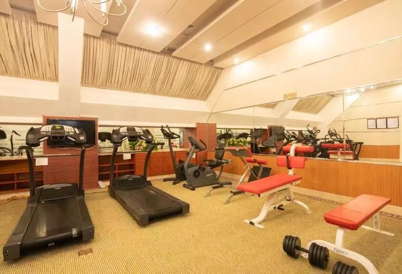 Fotos del hotel Oscar:  4