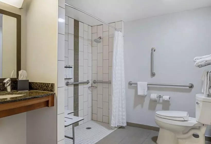 Fotos del hotel Hyatt Place Houstonnorth:  9