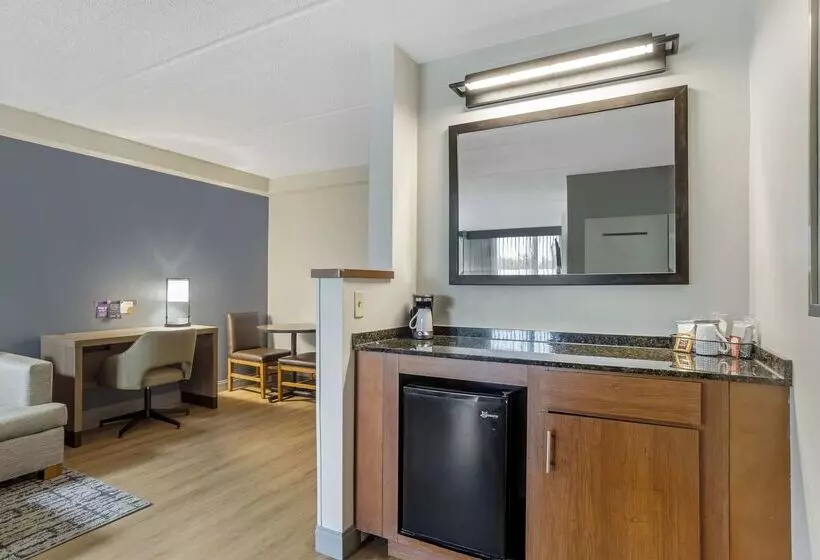 Fotos del hotel Hyatt Place Houstonnorth:  25