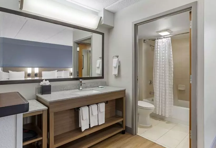 Fotos del hotel Hyatt Place Houstonnorth:  14