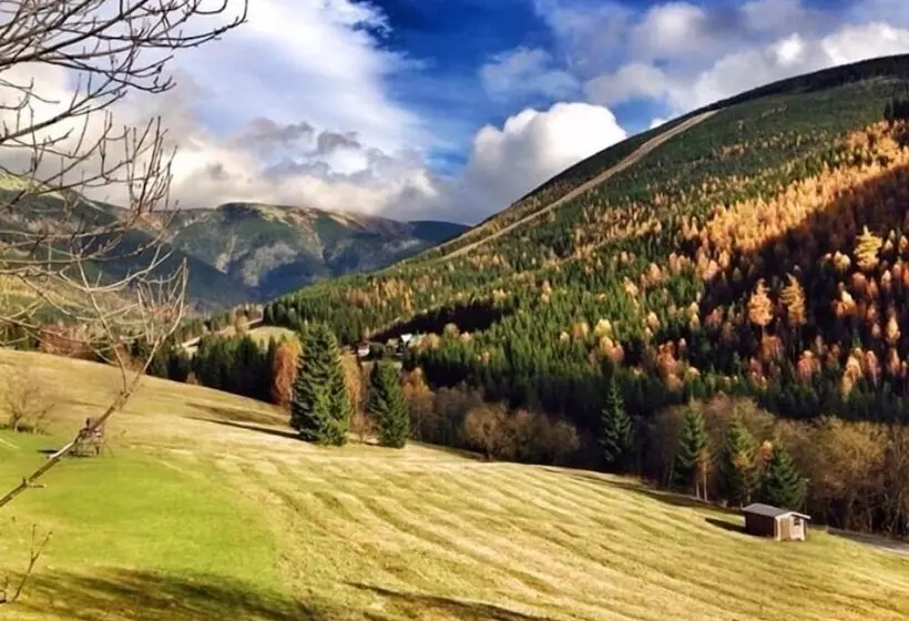 Fotos del hotel Alpský:  12