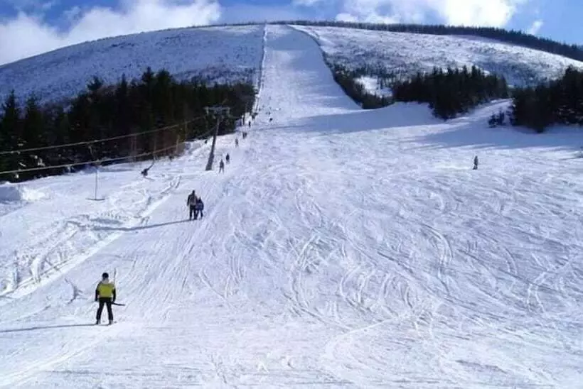 Fotos del hotel Alpský:  21