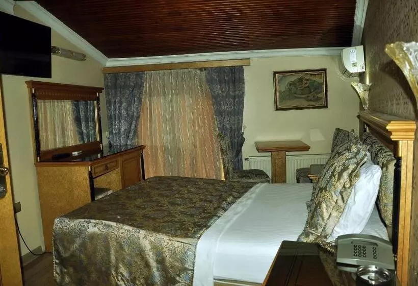 Fotos del hotel Grand Hisar:  3