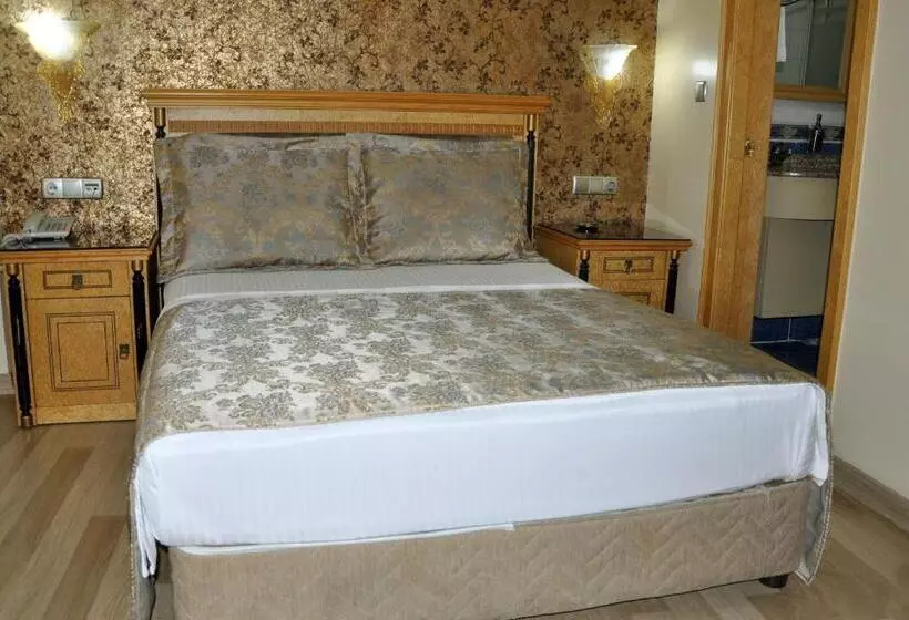 Fotos del hotel Grand Hisar:  4