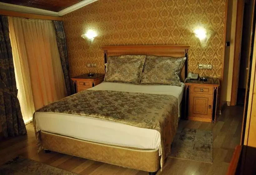 Fotos del hotel Grand Hisar:  5