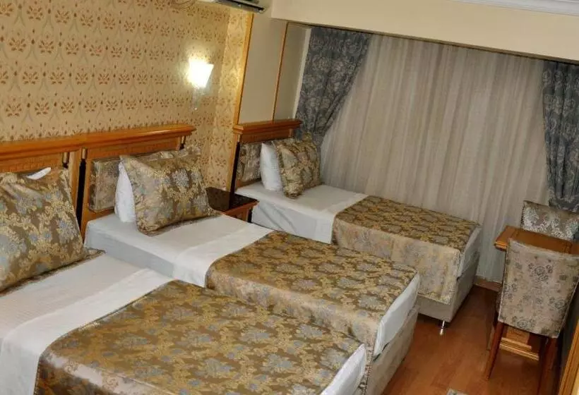 Fotos del hotel Grand Hisar:  6