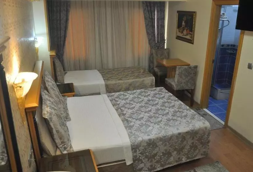 Fotos del hotel Grand Hisar:  7