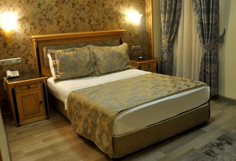 Fotos del hotel Grand Hisar:  9