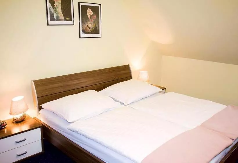 Fotos del hotel Alter Telegraf:  11