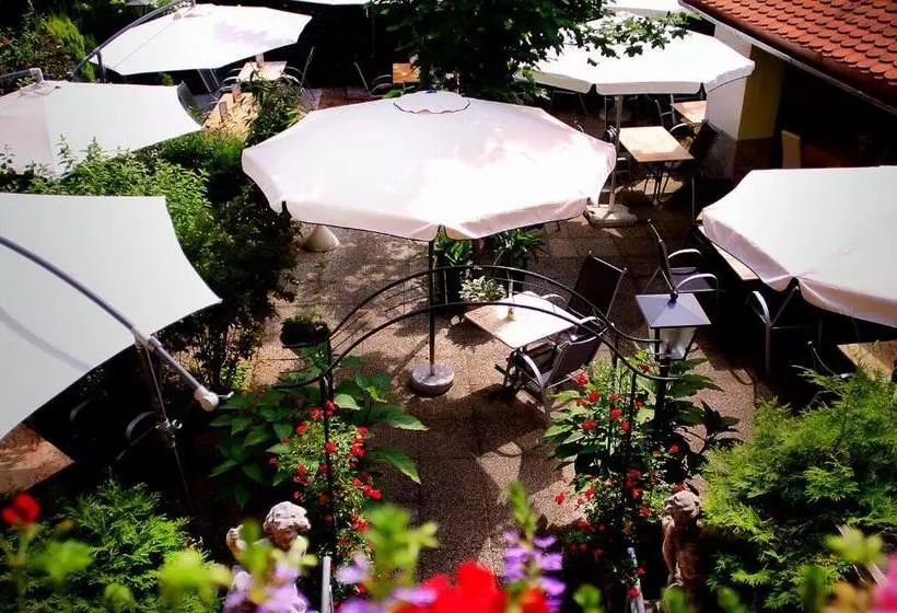 Fotos del hotel Alter Telegraf:  4