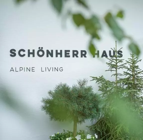 Fotos del hotel Schönherr Haus:  16