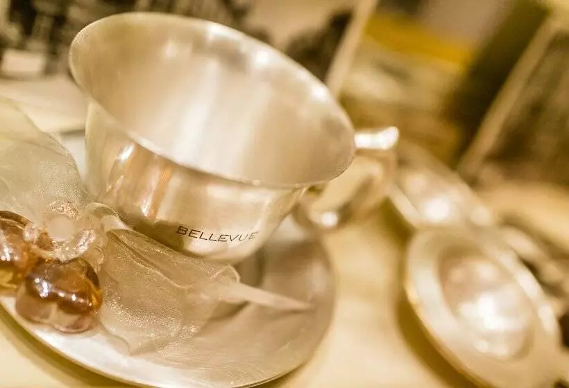 Fotos del hotel Grand  Bellevue:  5