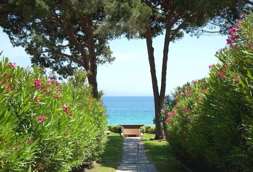 Fotos del hotel Hôtel La Pinède:  21