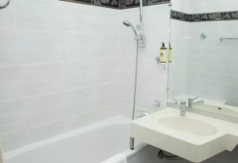 Fotos del hotel Hôtel La Pinède:  8