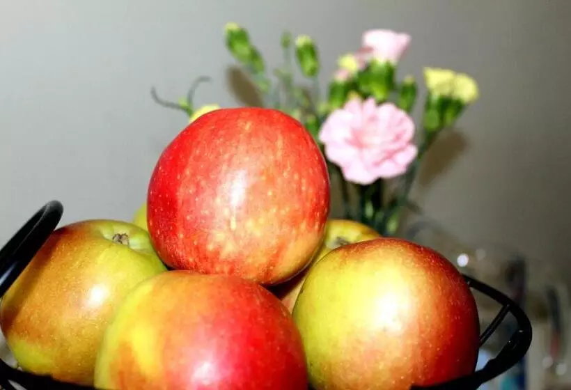 Fotos del hotel Nox S  Paddington:  7