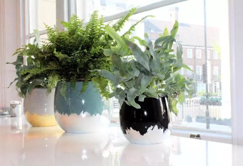 Fotos del hotel Nox S  Paddington:  4