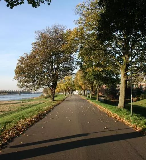 Fotos del hotel Chrisma:  16