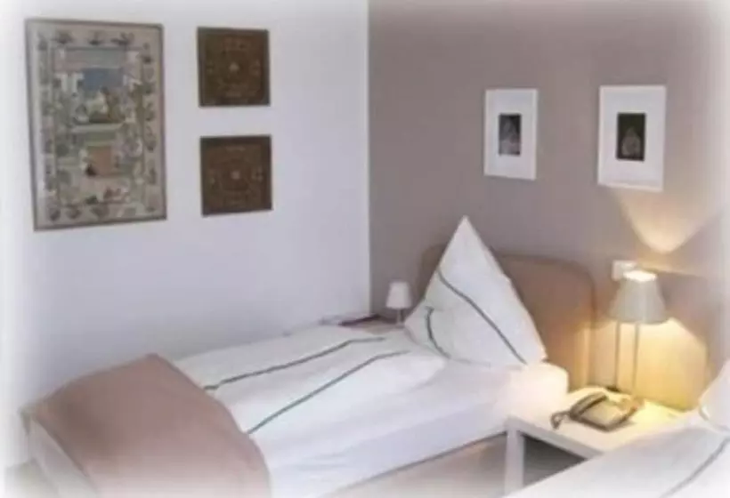 Fotos del hotel Cityminis:  7