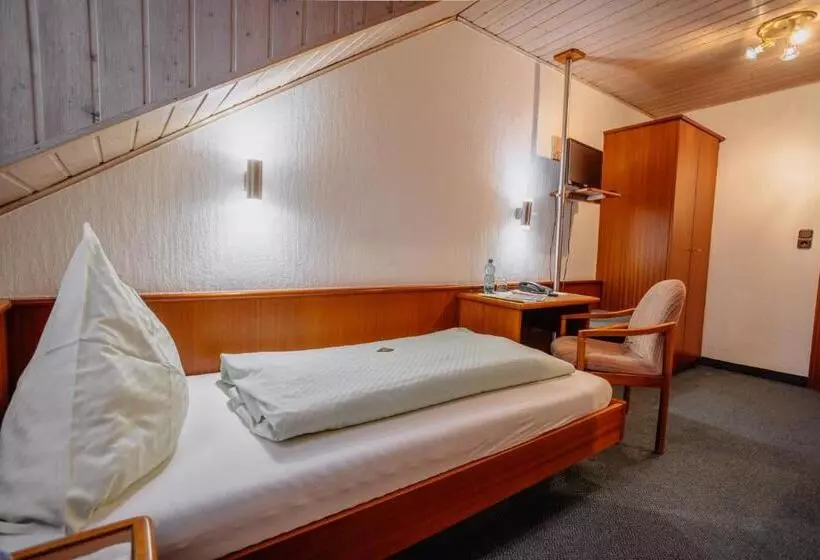 Fotos del hotel Concordia:  13