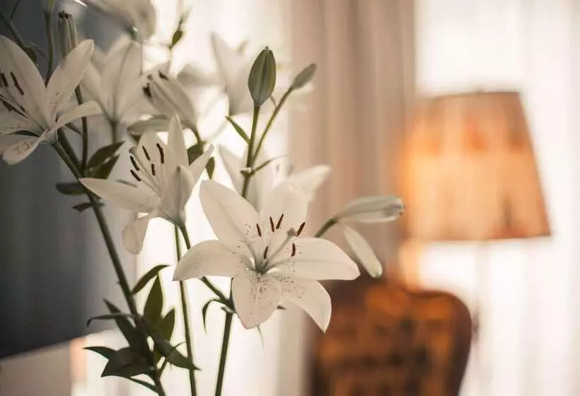 Fotos del hotel Maison Marsil  Boutique  Köln:  18