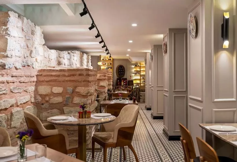 Fotos del hotel Royan Hotel Hagia Sophia Istanbul, A Member Of Radisson Individuals:  14