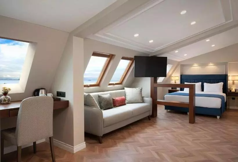 Fotos del hotel Royan Hotel Hagia Sophia Istanbul, A Member Of Radisson Individuals:  8