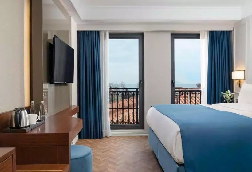 Fotos del hotel Royan Hotel Hagia Sophia Istanbul, A Member Of Radisson Individuals:  4