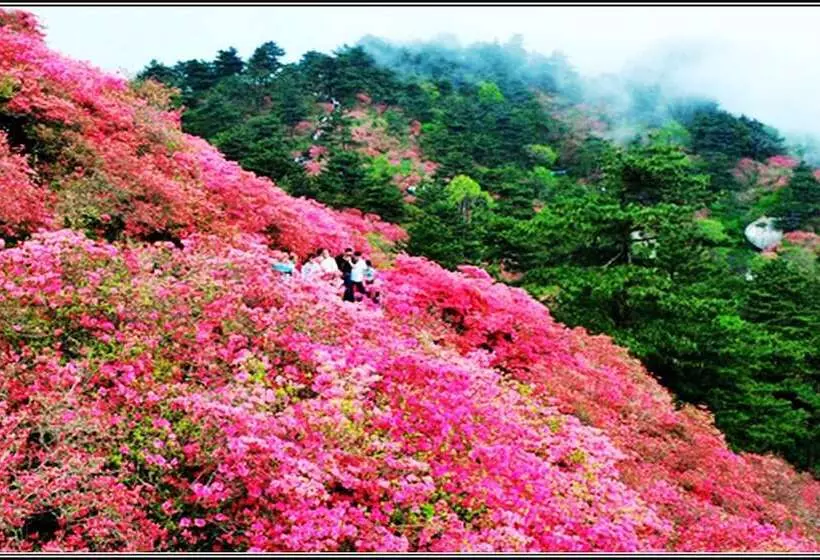 Fotos del hotel Guangzhou Shan Dong Building Luyue:  5