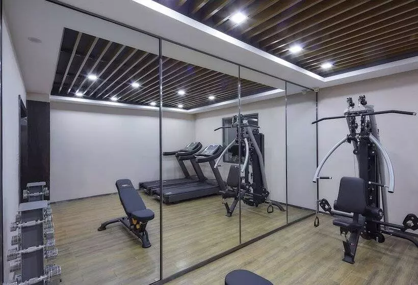 Fotos del hotel Insail S:  3