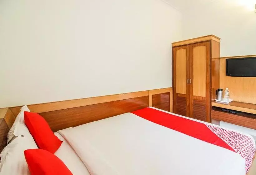 Fotos del hotel White Parrot:  2