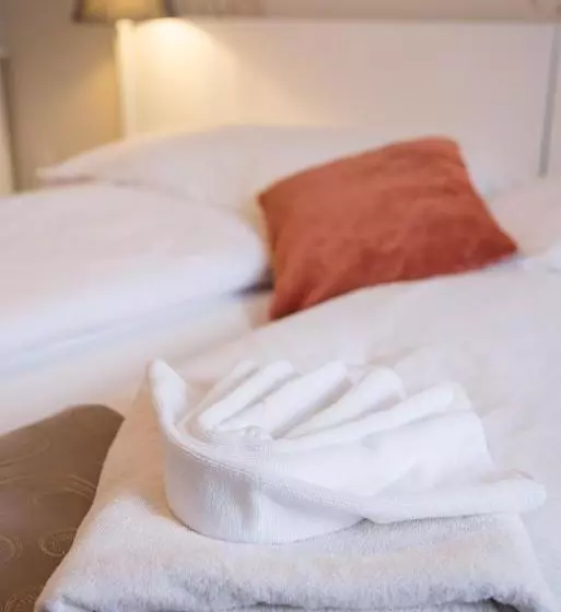 Fotos del hotel Astoria Panzió:  6