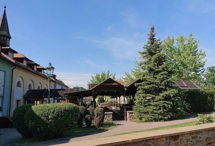 Fotos del hotel Certousy:  22