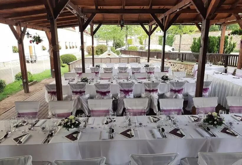 Fotos del hotel Certousy:  23