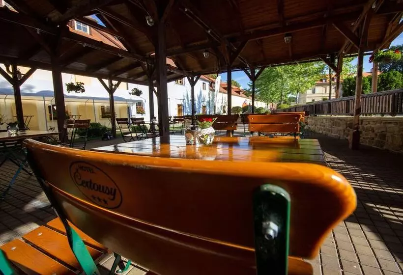 Fotos del hotel Certousy:  3