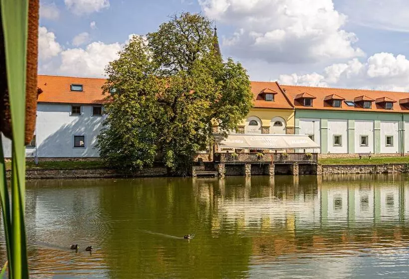 Fotos del hotel Certousy:  12