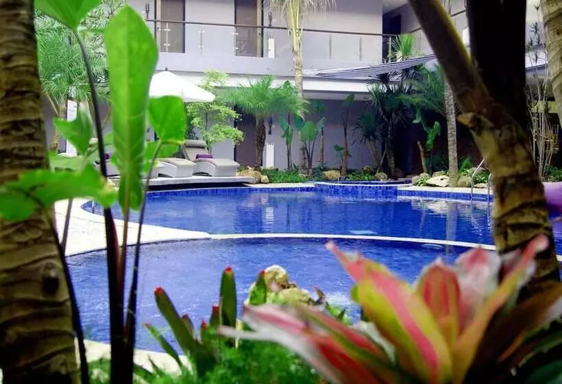 Fotos del hotel Amaroossa Suite:  12