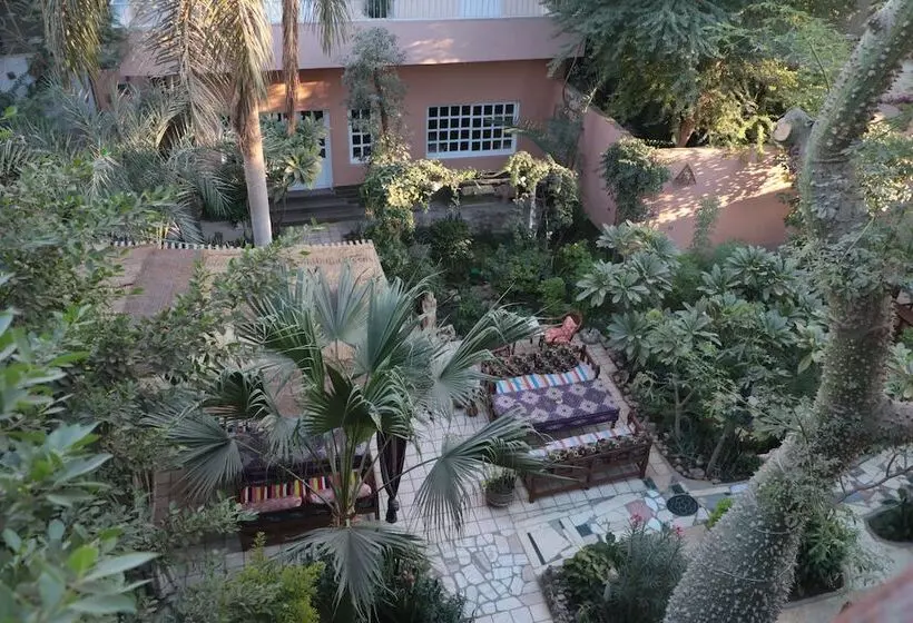 Fotos del hotel Amon:  21