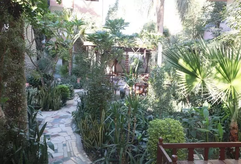 Fotos del hotel Amon:  19