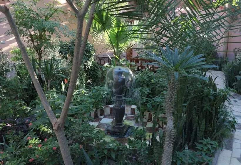 Fotos del hotel Amon:  12