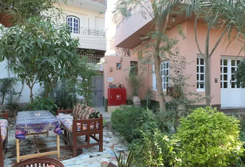 Fotos del hotel Amon:  18