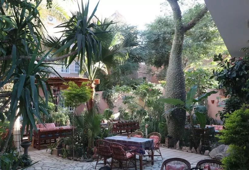 Fotos del hotel Amon:  8