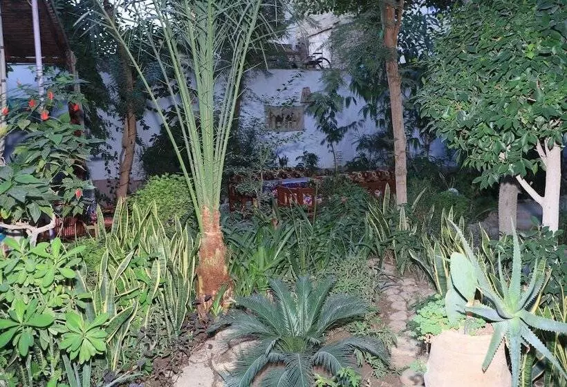 Fotos del hotel Amon:  17