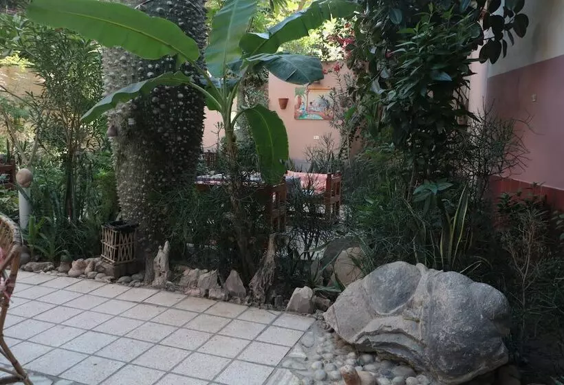 Fotos del hotel Amon:  23