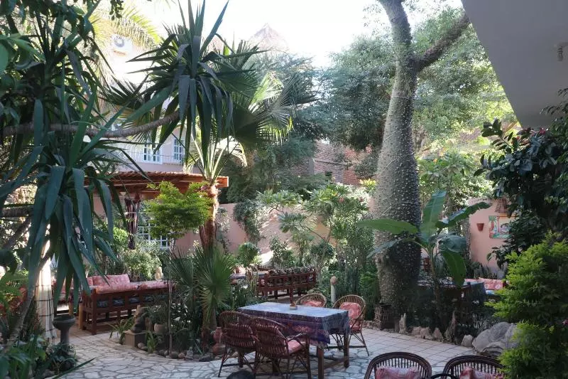 Fotos del hotel Amon:  11