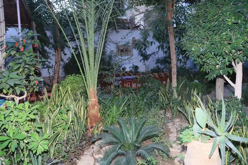 Fotos del hotel Amon:  15